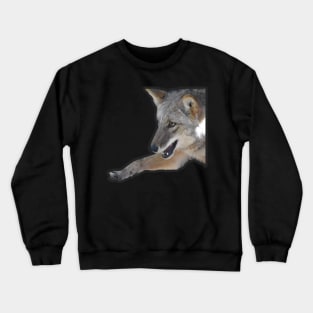 Coyote Crewneck Sweatshirt